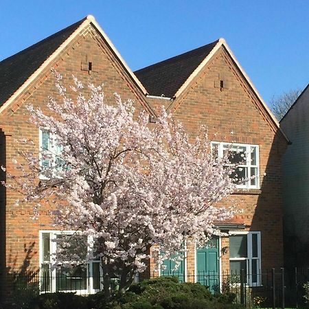 3 Summertown Court Oxford Exteriör bild
