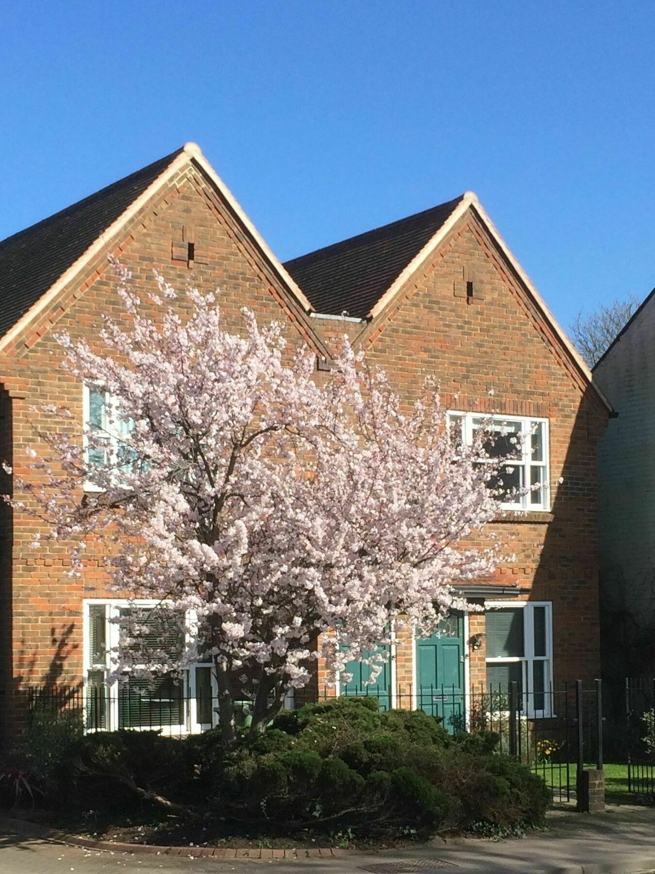 3 Summertown Court Oxford Exteriör bild